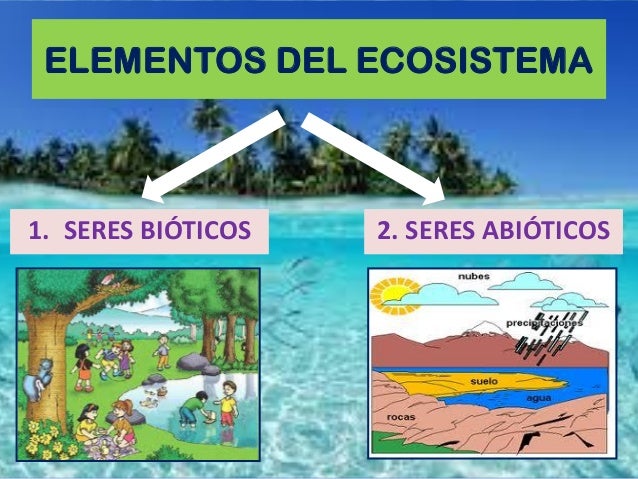 Imagen relacionada