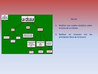 TALLER
1. Realizar una cuadro sinóptica sobre
el tema de La Celular.
2. Realizar un resumen con las
principales ideas de la lectura.
 