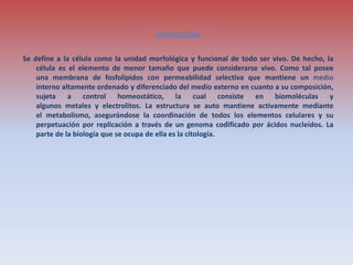 DEFINICIÓN
Se define a la célula como la unidad morfológica y funcional de todo ser vivo. De hecho, la
célula es el elemento de menor tamaño que puede considerarse vivo. Como tal posee
una membrana de fosfolípidos con permeabilidad selectiva que mantiene un medio
interno altamente ordenado y diferenciado del medio externo en cuanto a su composición,
sujeta a control homeostático, la cual consiste en biomoléculas y
algunos metales y electrolitos. La estructura se auto mantiene activamente mediante
el metabolismo, asegurándose la coordinación de todos los elementos celulares y su
perpetuación por replicación a través de un genoma codificado por ácidos nucleídos. La
parte de la biología que se ocupa de ella es la citología.
 