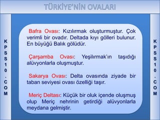 Ovalar PPTX ovalar-pptx