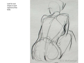 Look for oval
shapes in each
segment of the
body
 