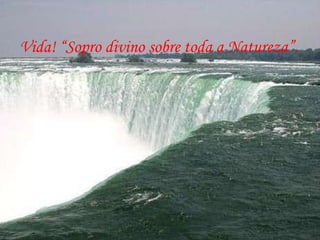 Vida! “Sopro divino sobre toda a Natureza”.  