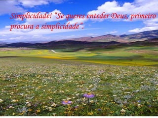 Simplicidade! “Se queres enteder Deus, primeiro procura a simplicidade”.  