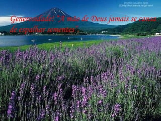 Generosidade! “A mão de Deus jamais se cansa de espalhar sementes”. 