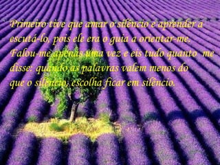 Primeiro tive que amar o silêncio e aprender a escutá-lo, pois ele era o guia a orientar-me. Falou-me apenas uma vez e eis tudo quanto  me disse: quando as palavras valem menos do  que o silêncio, escolha ficar em silêncio. 