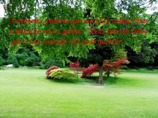 A primeira  palavra que ouvi foi: calma! Mas a intuição veio a galope. “Deus tem um ritmo  que a tua vontade não pode quebrar. 