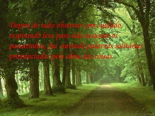 Depois de tudo observar com cuidado,  respirando leve para não assustar os passarinhos, fui  ouvindo palavras solitárias pronunciadas pela alma das coisas.  
