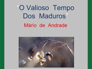 “O Valioso Tempo
  Dos Maduros”
 Mário de Andrade
 