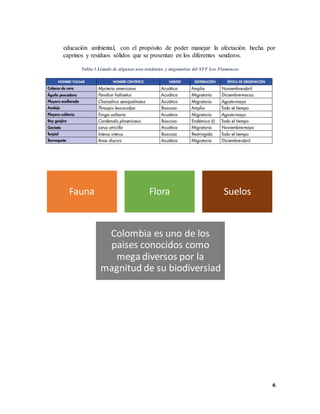 6
educación ambiental, con el propósito de poder manejar la afectación hecha por
caprinos y residuos sólidos que se presentan en los diferentes senderos.
Tabla 1 Listado de algunas aves residentes y migratorias del SFF Los Flamencos
Fauna Flora Suelos
Colombia es uno de los
paises conocidos como
megadiversos por la
magnitud de su biodiversiad
 