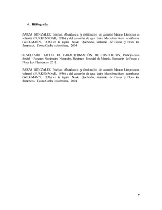 7
4. Bibliografía.
ZARZA GONZALEZ, Esteban. Abundancia y distribución de camarón blanco Litopenaeus
schmitti (BURKENROAD, 1936) y del camarón de agua dulce Macrobrachium acanthurus
(WIEGMANN, 1836) en la laguna Navío Quebrado, santuario de Fauna y Flora los
flamencos, Costa Caribe colombiana, 2004
RESULTADO TALLER DE CARACTERIZACIÓN DE CONFLICTOS, Participación
Social – Parques Nacionales Naturales, Régimen Especial de Manejo, Santuario de Fauna y
Flora Los Flamencos 2011.
ZARZA GONZALEZ, Esteban. Abundancia y distribución de camarón blanco Litopenaeus
schmitti (BURKENROAD, 1936) y del camarón de agua dulce Macrobrachium acanthurus
(WIEGMANN, 1836) en la laguna Navío Quebrado, santuario de Fauna y Flora los
flamencos, Costa Caribe colombiana, 2004
 