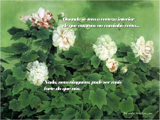 Quando se tema certeza interior
       de que estam no cam
                   os       inho certo...




Nada, nemninguém pode ser m
                  ,        ais
forte do que nós.
 