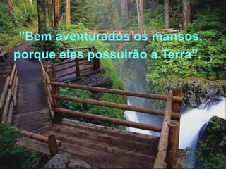 "Bem aventurados os mansos,
porque eles possuirão a Terra".
 