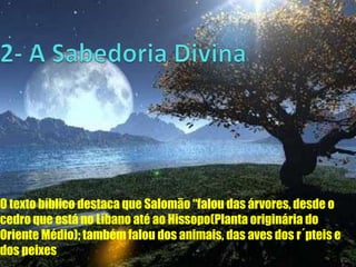 O texto bíblico destaca que Salomão “falou das árvores, desde o
cedro que está no Líbano até ao Hissopo(Planta originária do
Oriente Médio); também falou dos animais, das aves dos r´pteis e
dos peixes

 