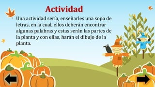 Actividad
Una actividad sería, enseñarles una sopa de
letras, en la cual, ellos deberán encontrar
algunas palabras y estas serán las partes de
la planta y con ellas, harán el dibujo de la
planta.