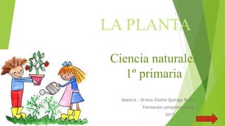 LA PLANTA
Maestra : Oriana Giselle Quiroga Rubio
Formación complementaria
2017
Ciencia naturales
1º primaria
 
