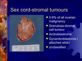 Sex cord-stromal tumours 5-8% of all ovarian malignancy Granulosa-stromal cell tumour Androblastroma Gynandroblastoma ( attached slide) unclassified 