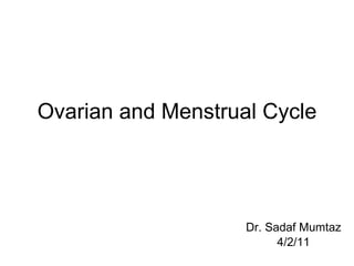Ovarian and Menstrual Cycle Dr. Sadaf Mumtaz 4/2/11 