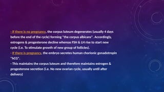 Comprehensive Overview of the Ovarian and Uterine Menstrual Cycles | PPTX
