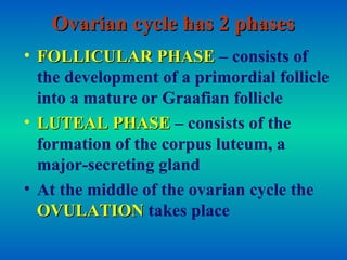 Ovarian cycle has 2 phasesOvarian cycle has 2 phases
• FOLLICULAR PHASEFOLLICULAR PHASE – consists of
the development of a primordial follicle
into a mature or Graafian follicle
• LUTEAL PHASELUTEAL PHASE – consists of the
formation of the corpus luteum, a
major-secreting gland
• At the middle of the ovarian cycle the
OVULATIONOVULATION takes place
 