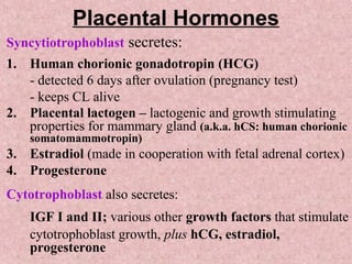 Placental Hormones
Syncytiotrophoblast secretes:
1. Human chorionic gonadotropin (HCG)
- detected 6 days after ovulation (pregnancy test)
- keeps CL alive
2. Placental lactogen – lactogenic and growth stimulating
properties for mammary gland (a.k.a. hCS: human chorionic
somatomammotropin)
3. Estradiol (made in cooperation with fetal adrenal cortex)
4. Progesterone
Cytotrophoblast also secretes:
IGF I and II; various other growth factors that stimulate
cytotrophoblast growth, plus hCG, estradiol,
progesterone
 