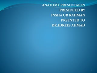 ANATOMY PRESENTAION
PRESENTED BY
INSHA UR RAHMAN
PRSENTED TO
DR.IDREES AHMAD
1
 