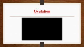 Ovulation
 