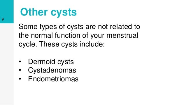 Serophene Menstrual Cycle