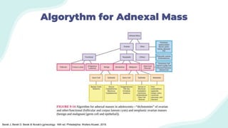 Ovarian Cyst Decision Making - Abdul.pptx