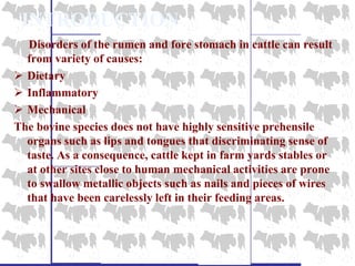 INTRODUCTION
Disorders of the rumen and fore stomach in cattle can result
from variety of causes:
 Dietary
 Inflammatory
 Mechanical
The bovine species does not have highly sensitive prehensile
organs such as lips and tongues that discriminating sense of
taste. As a consequence, cattle kept in farm yards stables or
at other sites close to human mechanical activities are prone
to swallow metallic objects such as nails and pieces of wires
that have been carelessly left in their feeding areas.
 
