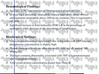 Hematological Findings:
 Increases in the concentration of fibrinogen and plasma proteins.
 In acute local peritonitis, neutrophils (mature neutrophils above 400/ul)
and (immature neutrophils above 200/ul) are common. This is regenerative
left shift.
 Significant increase in total leukocyte (WBC) & in the percentage of
neutrophils while decrease in the percentage of lymphocytes.
Biochemical findings:
 Calcium concentration is significantly low in the cattle with TRP whereas
phosphorous concentration is slightly high.
 Plasma fibrinogen levels are often elevated (>1000 mg/ dl, normal 300-
600mg/dl).
 The most common abnormality associated with TRP is hyperproteinemia
with hyperglobulinemia.
 Total serum protein concentration greater than 10mg/dl.
 