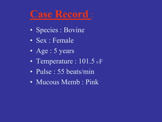 Case Record :
• Species : Bovine
• Sex : Female
• Age : 5 years
• Temperature : 101.5 0 F
• Pulse : 55 beats/min
• Mucous Memb : Pink
 