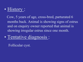 • History :
Cow, 5 years of age, cross-bred, parturated 6
months back. Animal is showing signs of estrus
and on enquiry owner reported that animal is
showing irregular estrus since one month.
• Tentative diagnosis :
Follicular cyst.
 