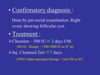 • Confirmatory diagnosis :
Done by per-rectal examination. Right
ovary showing follicular cyst.
• Treatment :
Chorulon – 500 IU 2 days I/M.
(HCG) Dosage = 1500-3000 IU as IV inj.
Inj. Clostenol 2ml 7 days.
( PGF2-alpha analogue) Dosage = 2ml I/M or S/C.
 