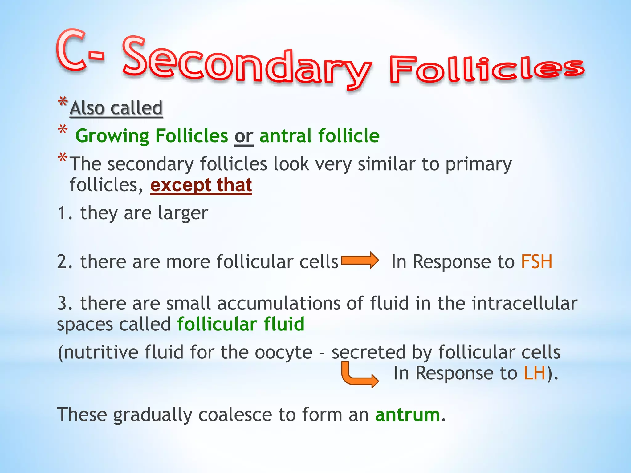 Ovarian follicles; Histology - March 2015 | PPTX | Reproductive Health ...