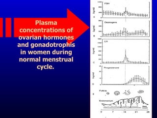 Ovarian hormones | PPT