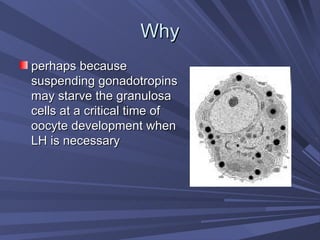 Why perhaps because suspending gonadotropins may starve the granulosa cells at a critical time of oocyte development when LH is necessary 