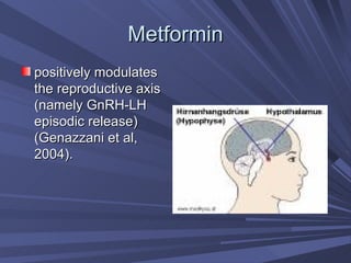 Metformin positively modulates the reproductive axis (namely GnRH-LH episodic release) (Genazzani et al, 2004).  