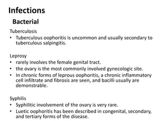 Infections
Bacterial
Tuberculosis
• Tuberculous oophoritis is uncommon and usually secondary to
tuberculous salpingitis.
Leprosy
• rarely involves the female genital tract.
• the ovary is the most commonly involved gynecologic site.
• In chronic forms of leprous oophoritis, a chronic inflammatory
cell infiltrate and fibrosis are seen, and bacilli usually are
demonstrable.
Syphilis
• Syphilitic involvement of the ovary is very rare.
• Luetic oophoritis has been described in congenital, secondary,
and tertiary forms of the disease.
 