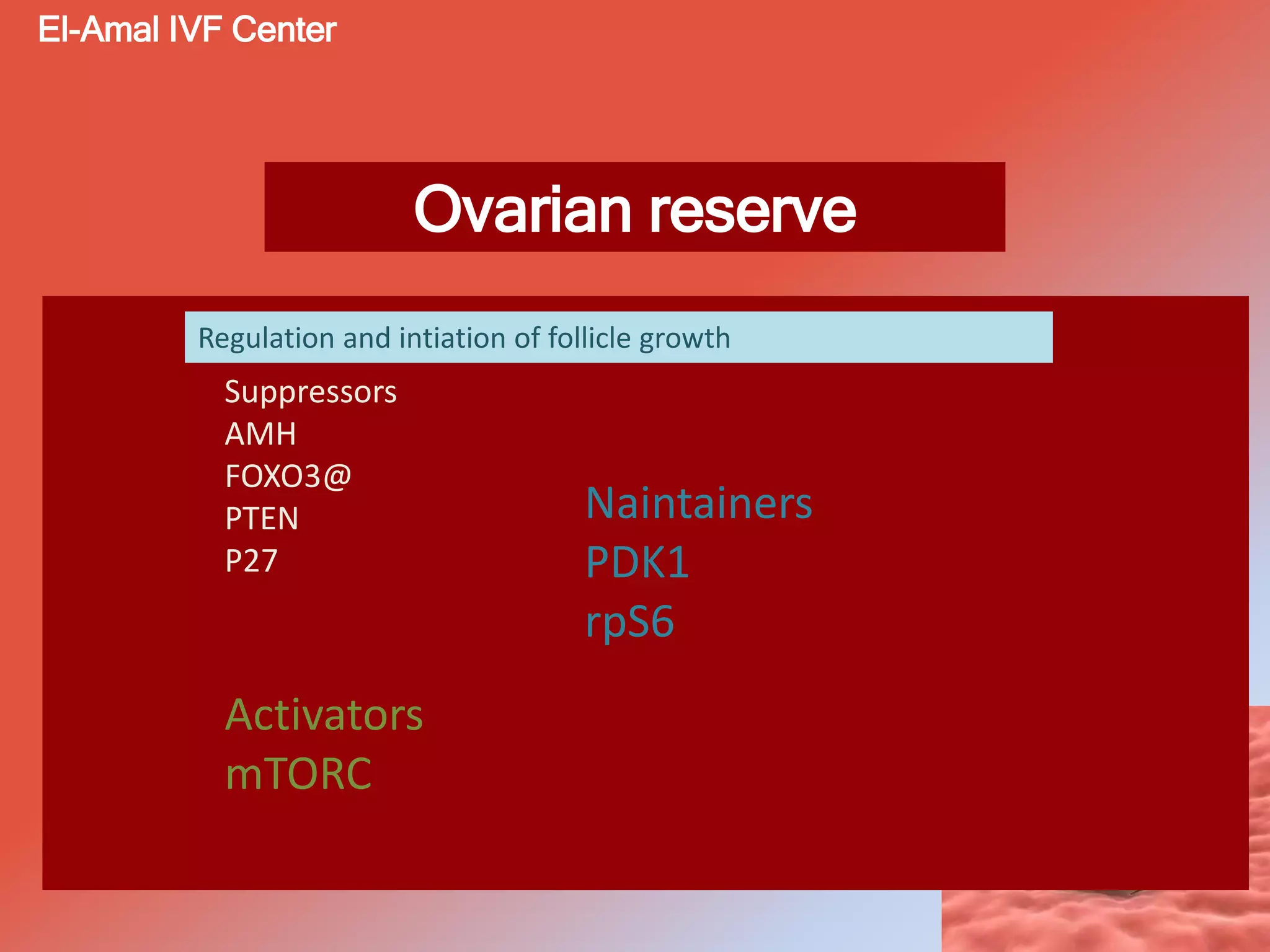 Ovarian reserve
El-Amal IVF Center
Suppressors
AMH
FOXO3@
PTEN
P27
Naintainers
PDK1
rpS6
Activators
mTORC
Regulation and intiation of follicle growth
 