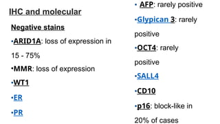 Pathological Spectrum Histopathological spectrum of common ovarian tumor.pptx