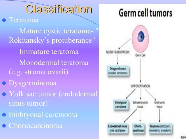 Ovarian tumors and cysts