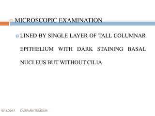 6/14/2017 OVARIAN TUMOUR 19
 MICROSCOPIC EXAMINATION
 LINED BY SINGLE LAYER OF TALL COLUMNAR
EPITHELIUM WITH DARK STAINING BASAL
NUCLEUS BUT WITHOUT CILIA
 