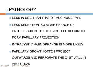 6/14/2017 OVARIAN TUMOUR 23
 PATHOLOGY
 LESS IN SIZE THAN THAT OF MUCINOUS TYPE
 LESS SECRETION. SO MORE CHANCE OF
PROLIFERATION OF THE LINING EPITHELIUM TO
FORM PAPILLARY PROJECTION
 INTRACYSTIC HAEMORRAHGE IS MORE LIKELY.
 PAPILLARY GROWTH OFTEN PROJECT
OUTWARDS AND PERFORATE THE CYST WALL IN
ABOUT 15%
 