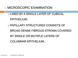 6/14/2017 OVARIAN TUMOUR 26
 MICROSCOPIC EXAMINATION
 LINED BY A SINGLE LAYER OF CUBICAL
EPITHELIUM.
 PAPILLARY STRUCTURES CONSISTS OF
BROAD DENSE FIBROUS STROMA COVERED
BY SINGLE OR MUTIPLE LAYERS OF
COLUMNAR EPITHELIUM..
 