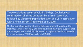 Three ovulations occurred within 45 days. Ovulation was
confirmed on all three occasions by a rise in serum LH,
followed by ultrasonographic detection of a CL in association
with a rise in serum P.(Baerwald et al 2020)
The hormonal regulation of antral follicular waves throughout the
menstrual cycle is not fully understood. Preliminary data suggest that
the emergence of each follicular wave throughout the IOI is preceded
by a rise in serum FSH (Baerwald et al 2003),
 