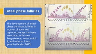 Luteal phase follicles
The development of luteal-
phase dominant follicles in
women of advanced
reproductive age has been
associated with lower
Progesterone, lower inhibin
A, and reduced luteal
growth (Vanden 2015)
 
