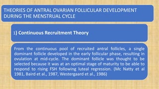 THEORIES OF ANTRAL OVARIAN FOLLICULAR DEVELOPMENT
DURING THE MENSTRUAL CYCLE
1) Continuous Recruitment Theory
From the continuous pool of recruited antral follicles, a single
dominant follicle developed in the early follicular phase, resulting in
ovulation at mid-cycle. The dominant follicle was thought to be
selected because it was at an optimal stage of maturity to be able to
respond to rising FSH following luteal regression. (Mc Natty et al
1981, Baird et al., 1987, Westergaard et al., 1986)
 