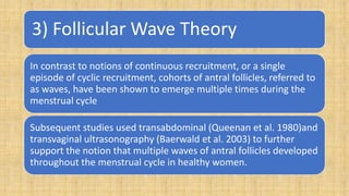 3) Follicular Wave Theory
In contrast to notions of continuous recruitment, or a single
episode of cyclic recruitment, cohorts of antral follicles, referred to
as waves, have been shown to emerge multiple times during the
menstrual cycle
Subsequent studies used transabdominal (Queenan et al. 1980)and
transvaginal ultrasonography (Baerwald et al. 2003) to further
support the notion that multiple waves of antral follicles developed
throughout the menstrual cycle in healthy women.
 