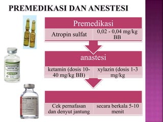 Cek pernafasan
dan denyut jantung
secara berkala 5-10
menit
anastesi
ketamin (dosis 10-
40 mg/kg BB)
xylazin (dosis 1-3
mg/kg
Premedikasi
Atropin sulfat 0,02 - 0,04 mg/kg
BB
 