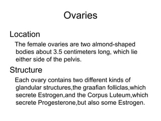Ovaries
Location
The female ovaries are two almond-shaped
bodies about 3.5 centimeters long, which lie
either side of the pelvis.
Structure
Each ovary contains two different kinds of
glandular structures,the graafian folliclas,which
secrete Estrogen,and the Corpus Luteum,which
secrete Progesterone,but also some Estrogen.
 